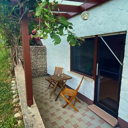 Gemuetliche Wohnung Mit Neckarblick エーバーバッハ エクステリア 写真